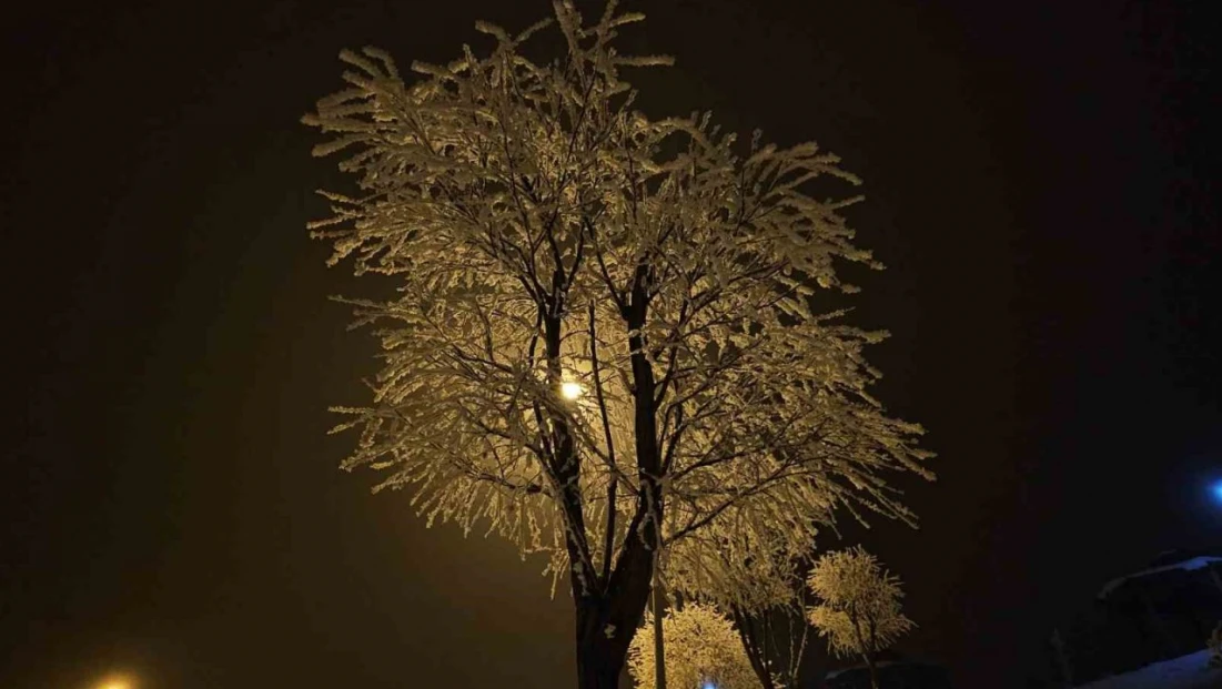 Elazığ'da ağaçlar kırağı tuttu
