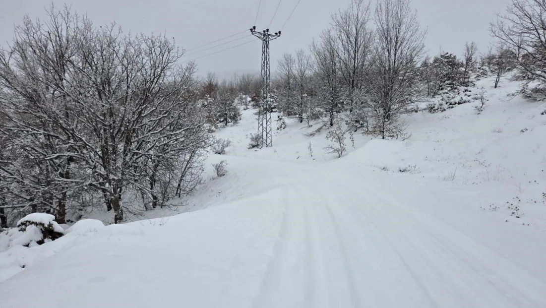 Elazığ'da kar başladı, 311  köy yolu ulaşıma kapandı