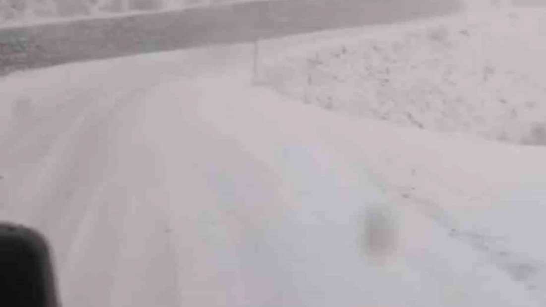 Tunceli'de, kar yağar yağmaz mücadele başladı