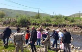 Karakoçan'da deredeki balık ölümleri için numuneler alındı