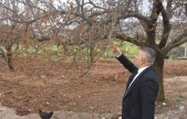 Sadıkoğlu: 'Verilecek destekler sadece kayısıyı değil, şehrimizin geleceğini ilgilendiriyor'