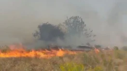 Doğanyol'da bahçe yangını