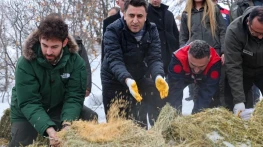 Vali Aygöl, yaban hayvanları için sahada