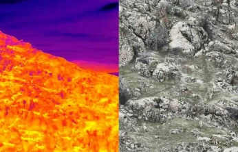 Dağ keçileri termal dron ile görüntülendi