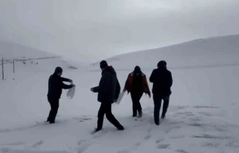 Darende'de öğretmen ve öğrencilerden yaban hayvanlarını unutmadı