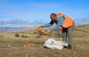 Elaızığ'da doğaya yem bırakıldı
