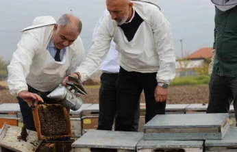 Elazığ arı kovanları incelendi