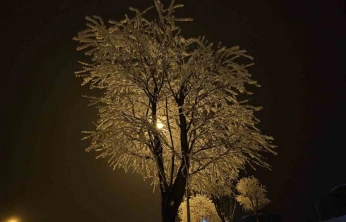 Elazığ'da ağaçlar kırağı tuttu
