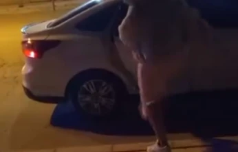 Elazığ'da bir kadın, tartıştığı şahsın arabasına saldırdı