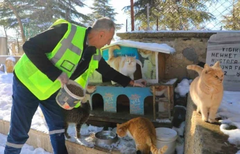 Elazığ'da doğaya yem bırakıldı