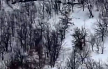 Elazığ'da domuz sürüsünü 'ordu geliyor' diye kayda aldı