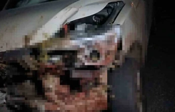 Elazığ'da kamyonet sürüye çarptı: 30 küçükbaş hayvan telef oldu