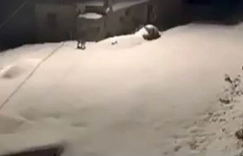 Elazığ'da nesli tükenmekte olan vaşak ailesi görüldü