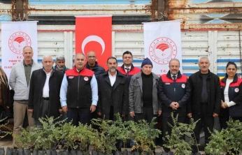 Elazığ'da sumak üretimi artıyor