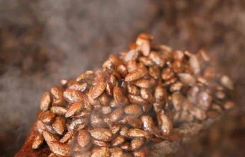 Gelenekten yeniliğe: Türk kahveli badem şekeri