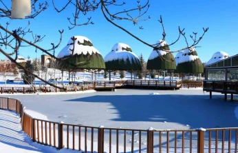 Hava sıcaklıklarının eksi 13'ü gördüğü kentte süs havuzları dondu