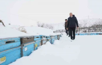 Kar yağışı, koloni kayıplarını ve hastalıkları minimuma indirdi: Arıcılar sezonundan ümitli