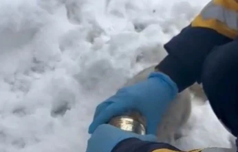 Kedinin başına sıkışan konserveyi sağlık ekipleri çıkardı