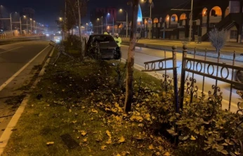 Köpeğe çarpmamak için manevra yapan sürücü refüje çıktı