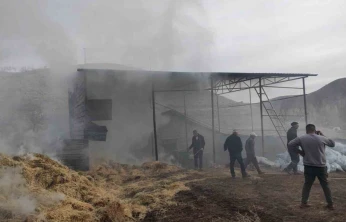 Malatya'da besi çiftliğinde yangın