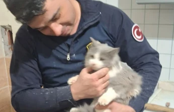 Malatya'da havalandırma boşluğuna düşen kedi kurtarıldı