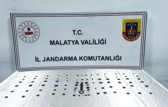 Malatya'da tarihi eser operasyonu