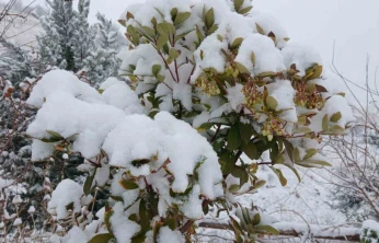 Pütürge'de kartpostallık görüntüler