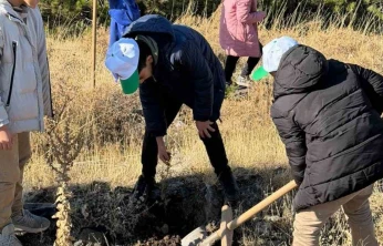 Sivrice'de fidan dikme etkinliği düzenlendi