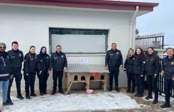 Sivrice polisinden üşüyen minik dostlarına kedi evi