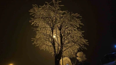 Elazığ'da ağaçlar kırağı tuttu