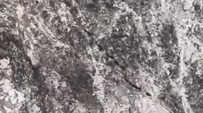 Elazığ'da domuz sürüsü görüntülendi