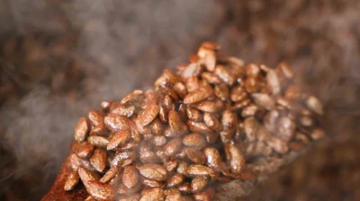 Gelenekten yeniliğe: Türk kahveli badem şekeri