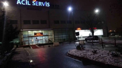 Malatya'da karbonmonoksit zehirlenmesinde sayı 113'e yükseldi