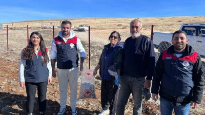 Tunceli'nin 4 ilçesinde sarımsak ekimi yapıldı
