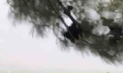 Elazığ'da fırtına etkili oldu