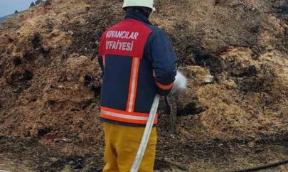 Elazığ'da samanlıkta korkutan yangın