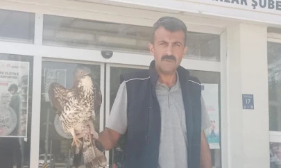 Elazığ'da yaralı şahin tedavi altına alındı