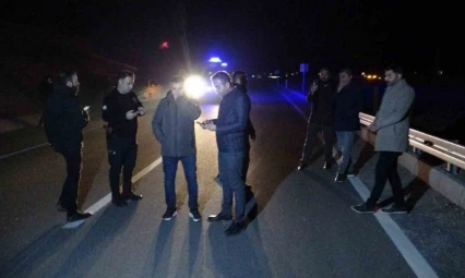 Malatya'da kaçan yarış atları karayoluna çıktı: 6 at telef oldu, 2 kişi yaralandı