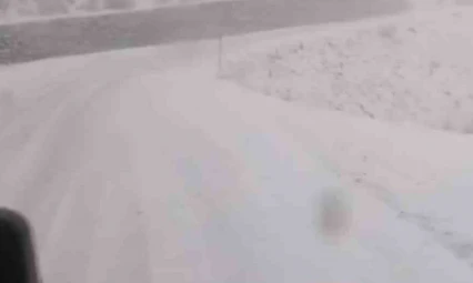 Tunceli'de, kar yağar yağmaz mücadele başladı