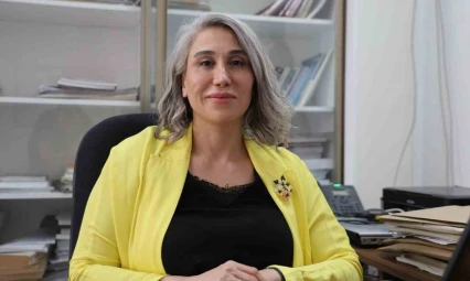 Türk bilim insanlarından dev çalışma, elektrikli araçlar daha güvenli olacak