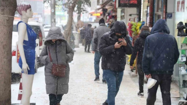 Elazığ'da beklenen kar yağışı başladı