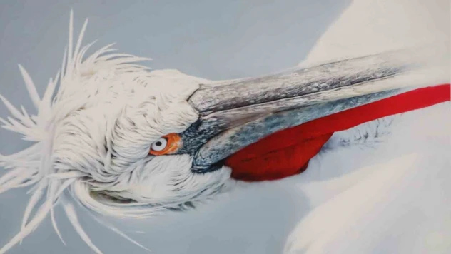 Malatya'da 'Kuşların Dünyası' sergisi yoğun ilgi gördü