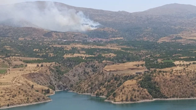 Malatya'da orman yangınına havadan müdahale