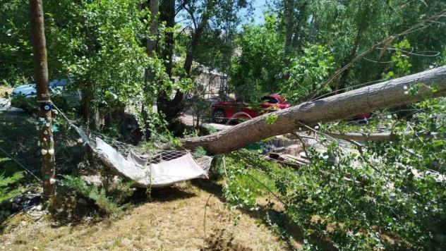 Malatya'da şiddetli fırtına ağaçları devirdi