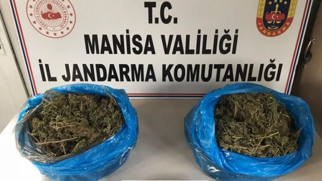 Manisa'da uyuşturucunun kökü kuruyacak