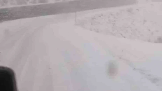 Tunceli'de, kar yağar yağmaz mücadele başladı