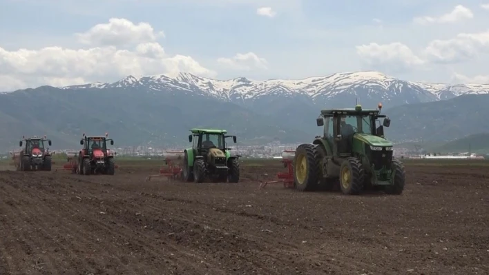 500 bin ton şeker pancarından 2 milyar TL gelir bekleniyor