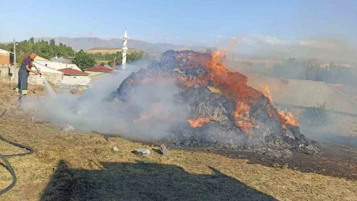 Ağrı'da bir bahçe küle döndü