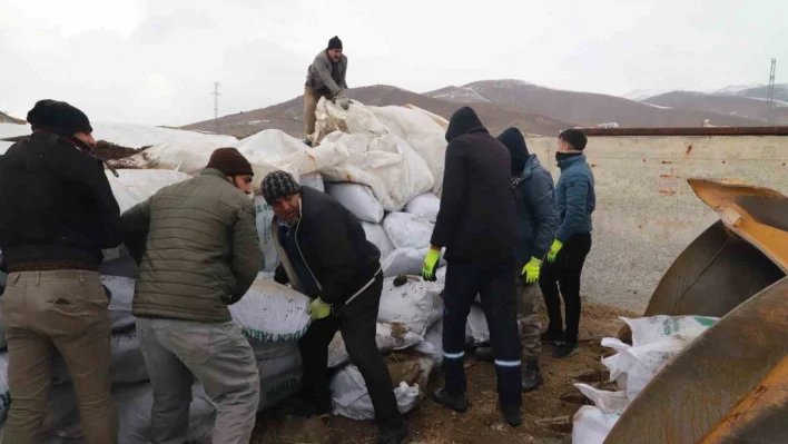 Ağrı'dan deprem bölgesine mısır silajları gönderildi