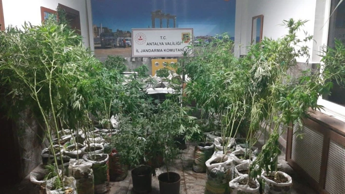 Antalya'da 27 kilogram esrar ele geçirildi